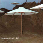 parasol.jpg (75986 bytes)